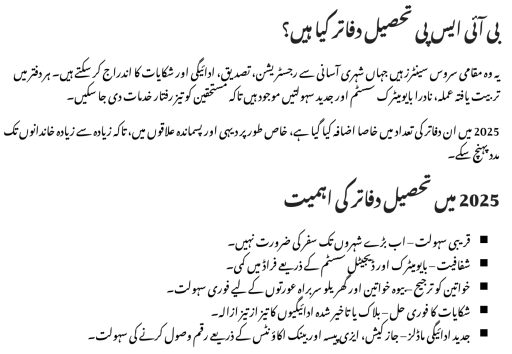 BISP Tehsil Offices 2025