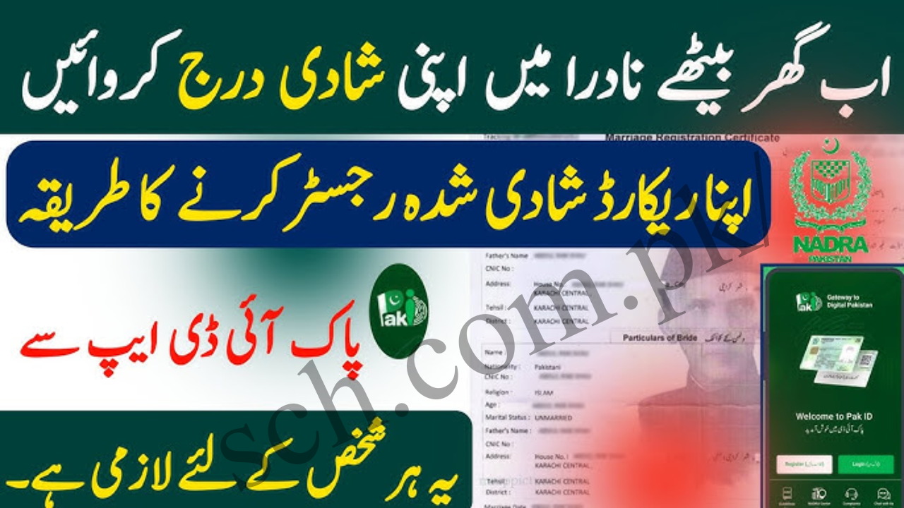 Check Online Married Status in NADRA CNIC