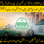 E‑Taxi Scheme Balloting
