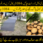 Tree Protection Helpline