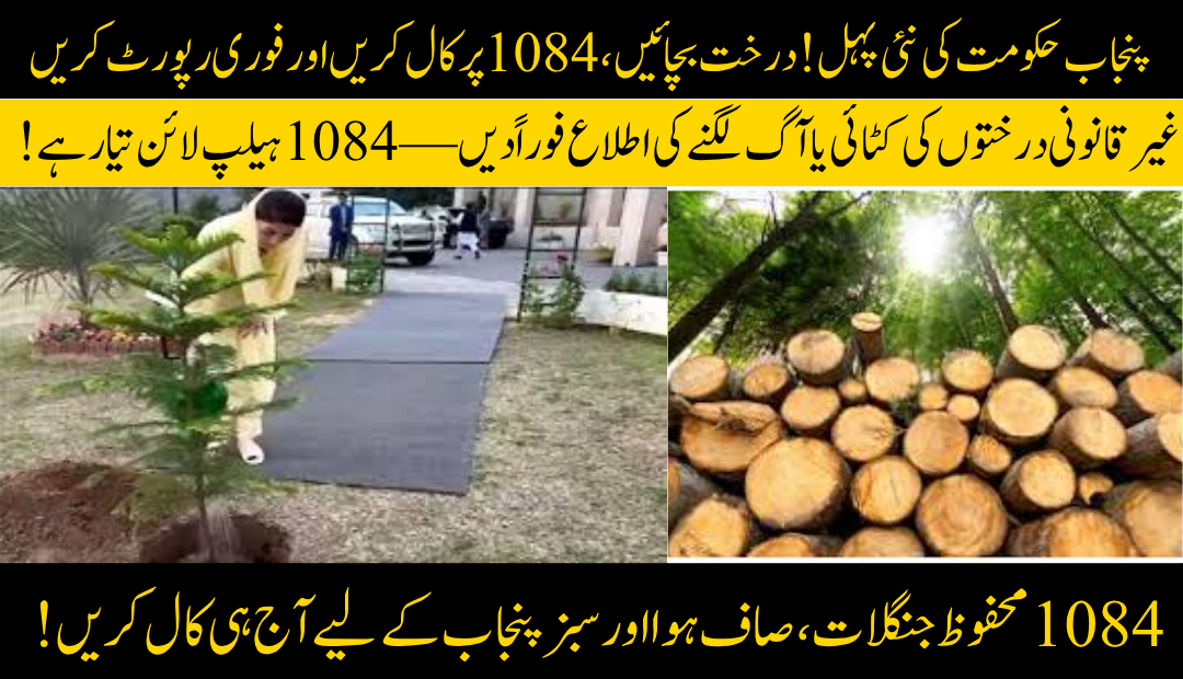 Tree Protection Helpline