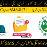 BISP 8171 Payment